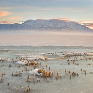 A chilly winter scene of Mount Timpanogos looming over the nearly untouched frozen Utah Lake. I say nearly because, as you can see, some animal dared to venture out over this frozen lake and left tracks in the snow. I was too nervous of thin ice to inspect the tracks enough to identify the animal. I can almost believe this whole area is uninhabited because of the mist over the lake hiding American Fork.