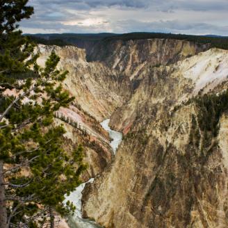 The Grand Canyon of Yellowstone