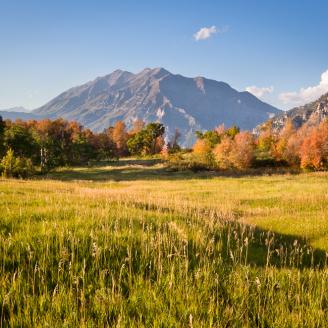 Mount Timpanogos looms over the Autumn colors at Cascade Meadows shortly before sunset.  