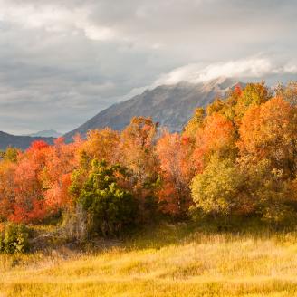 Light breaks through the clouds to shine on the peak of majestic Mount Timpanogos amidst many beautiful autumn colors on the Cascade Meadows.