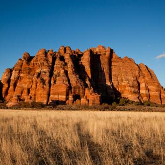 The red cliffs of Kolob Terrace light up as the sun sets on an Autumn evening.