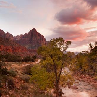 Clouds ignite as the final rays of sunset light up The Watchman at Zion National Park